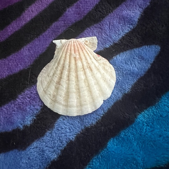 Shell Candle with Assorted Beads - Picture 2 of 2